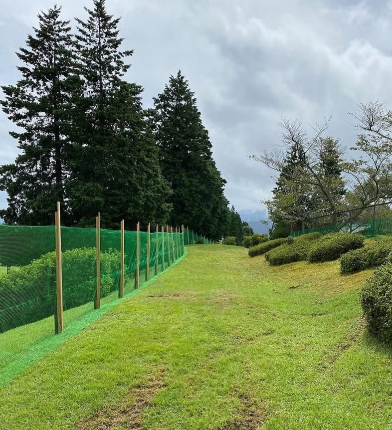 ファミリードッグラン