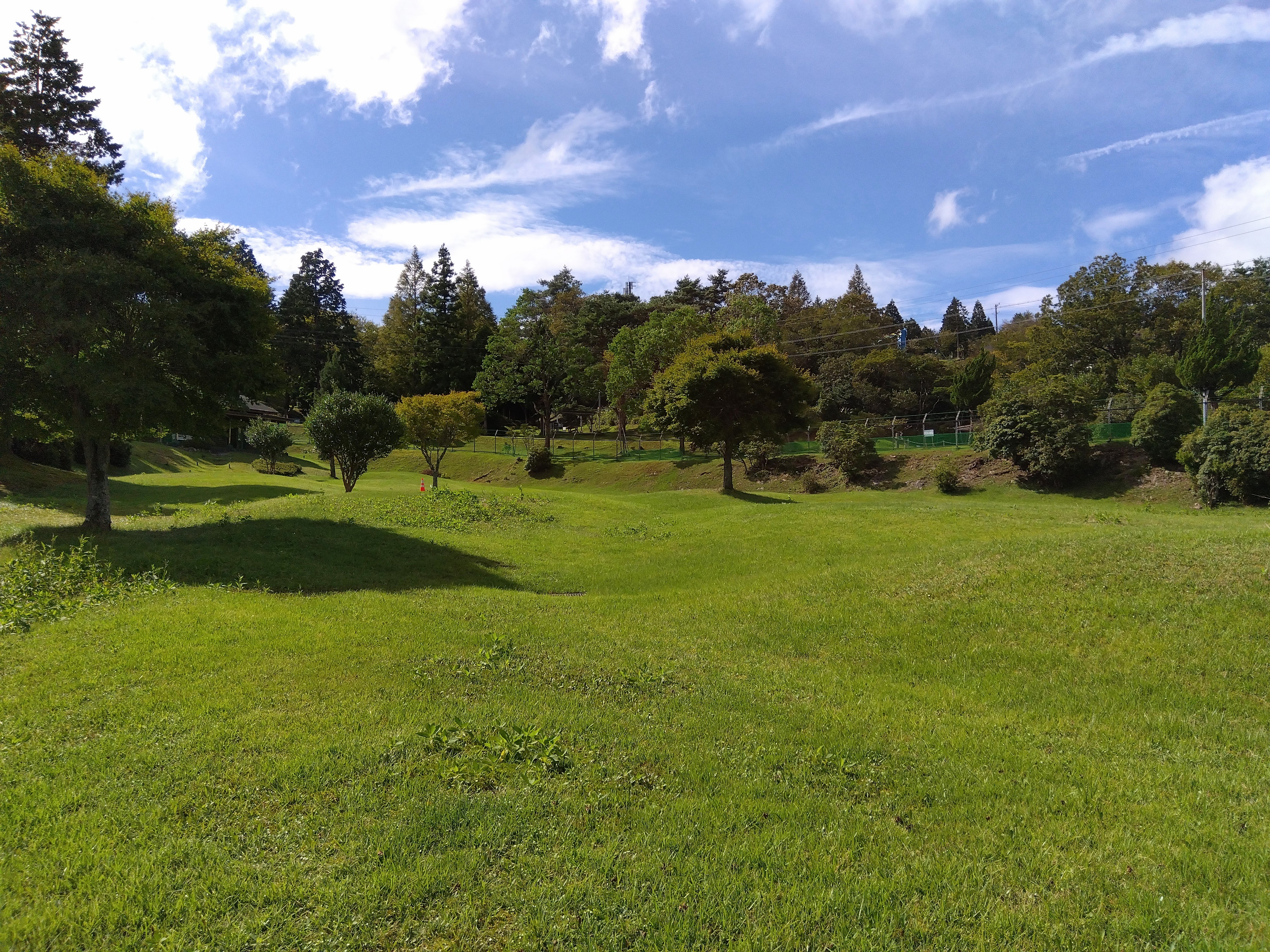 ドッグラン風景2